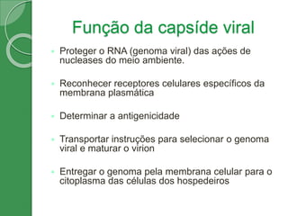 Função da capsíde viral
 Proteger o RNA (genoma viral) das ações de
nucleases do meio ambiente.
 Reconhecer receptores celulares específicos da
membrana plasmática
 Determinar a antigenicidade
 Transportar instruções para selecionar o genoma
viral e maturar o virion
 Entregar o genoma pela membrana celular para o
citoplasma das células dos hospedeiros
 
