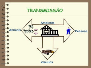 Veículos
PessoasAnimais
TRANSMISSÃO
Ambiente
 