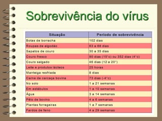 Sobrevivência do vírus
 