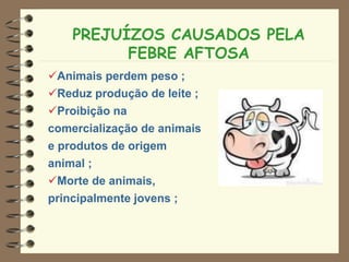 PREJUÍZOS CAUSADOS PELA
FEBRE AFTOSA
Animais perdem peso ;
Reduz produção de leite ;
Proibição na
comercialização de animais
e produtos de origem
animal ;
Morte de animais,
principalmente jovens ;
 