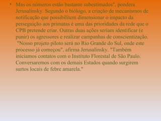 Mas os números estão bastante subestimados", pondera Jerusalinsky. Segundo o biólogo, a criação de mecanismos de notificação que possibilitem dimensionar o impacto da perseguição aos primatas é uma das prioridades da rede que o CPB pretende criar. Outras duas ações seriam identificar (e punir) os agressores e realizar campanhas de conscientização.  "Nosso projeto piloto será no Rio Grande do Sul, onde este processo já começou", afirma Jerusalinsky. "Também iniciamos contatos com o Instituto Florestal de São Paulo. Conversaremos com os demais Estados quando surgirem surtos locais de febre amarela." 