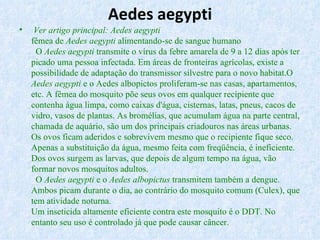 Aedes aegypti Ver artigo principal: Aedes aegypti fêmea de  Aedes aegypti  alimentando-se de sangue humano   O  Aedes aegypti  transmite o vírus da febre amarela de 9 a 12 dias após ter picado uma pessoa infectada. Em áreas de fronteiras agrícolas, existe a possibilidade de adaptação do transmissor silvestre para o novo habitat.O  Aedes aegypti  e o Aedes albopictos proliferam-se nas casas, apartamentos, etc. A fêmea do mosquito põe seus ovos em qualquer recipiente que contenha água limpa, como caixas d'água, cisternas, latas, pneus, cacos de vidro, vasos de plantas. As bromélias, que acumulam água na parte central, chamada de aquário, são um dos principais criadouros nas áreas urbanas. Os ovos ficam aderidos e sobrevivem mesmo que o recipiente fique seco. Apenas a substituição da água, mesmo feita com freqüência, é ineficiente. Dos ovos surgem as larvas, que depois de algum tempo na água, vão formar novos mosquitos adultos.   O  Aedes aegypti  e o  Aedes albopictus  transmitem também a dengue. Ambos picam durante o dia, ao contrário do mosquito comum (Culex), que tem atividade noturna. Um inseticida altamente eficiente contra este mosquito é o DDT. No entanto seu uso é controlado já que pode causar câncer. 