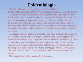 Epidemiologia Área de endêmica da febre amarela na África (2005) Existe endemicamente naÁfrica, Ásia tropical, Caraíbas e América do Sul.   A enfermidade não se transmite diretamente de uma pessoa para outra. Em área silvestre, a transmissão da febre amarela é feita por intermédio de mosquitos do gênero haemagogus em geral. Por ser virótica, pode ser transmitida por outros tipos de insetos que se alimentam de sangue. A infecção pode ocorrer também através de mosquitos que picam macacos e em seguida humanos. Existe também transmissão transovariana no próprio mosquito.   A infecção humana ocorre no indivíduo que entra em áreas de cerrado ou de florestas e é picado pelo mosquito contaminado. A propagação para áreas urbanas ocorre porque a pessoa contaminada é fonte de infecção para o mosquito desde imediatamente picada, portanto antes de surgirem os sintomas, até o quinto dia da infecção (reforçando, sem sintomas), esta retorna para a cidade serve como fonte de infecção para o  Aëdes aegypti , que então pode iniciar o ciclo de transmissão da febre amarela em área urbana.   Outro reservatório da infecção são os macacos. 
