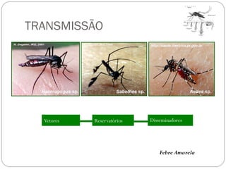 TRANSMISSÃO
Vetores Reservatórios Disseminadores
Febre Amarela
 