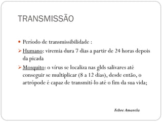 TRANSMISSÃO
 Período de transmissibilidade :
Humano: viremia dura 7 dias a partir de 24 horas depois
da picada
Mosquito: o vírus se localiza nas glds salivares até
conseguir se multiplicar (8 a 12 dias), desde então, o
artrópode é capaz de transmití-lo até o fim da sua vida;
Febre Amarela
 