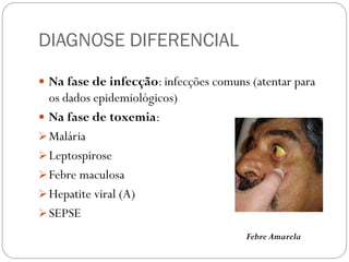 DIAGNOSE DIFERENCIAL
 Na fase de infecção: infecções comuns (atentar para
os dados epidemiológicos)
 Na fase de toxemia:
Malária
Leptospirose
Febre maculosa
Hepatite viral (A)
SEPSE
Febre Amarela
 