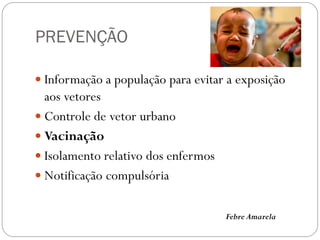 PREVENÇÃO
 Informação a população para evitar a exposição
aos vetores
 Controle de vetor urbano
 Vacinação
 Isolamento relativo dos enfermos
 Notificação compulsória
Febre Amarela
 