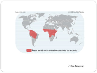 Febre Amarela
 