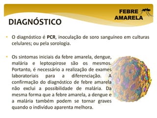 DIAGNÓSTICO
FEBRE
AMARELA
• Os sintomas iniciais da febre amarela, dengue,
malária e leptospirose são os mesmos.
Portanto, é necessário a realização de exames
laboratoriais para a diferenciação. A
confirmação do diagnóstico de febre amarela
não exclui a possibilidade de malária. Da
mesma forma que a febre amarela, a dengue e
a malária também podem se tornar graves
quando o indivíduo aparenta melhora.
• O diagnóstico é PCR, inoculação de soro sanguíneo em culturas
celulares; ou pela sorologia.
 