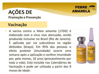 AÇÕES DE
Promoção e Prevenção
FEBRE
AMARELA
• A vacina contra a febre amarela (17DD) é
elaborada com o vírus vivo atenuado, sendo
produzida inclusive no Brasil (Rio de Janeiro).
É aplicada por via subcutânea na região
deltoidea (braço). Em 95% das pessoas o
efeito protetor (imunidade) ocorre uma
semana após a aplicação e confere imunidade
por, pelo menos, 10 anos (provavelmente por
toda a vida). Está incluída nos Calendários de
Vacinação e pode ser utilizada a partir dos 9
meses de idade.
Vacinação
 