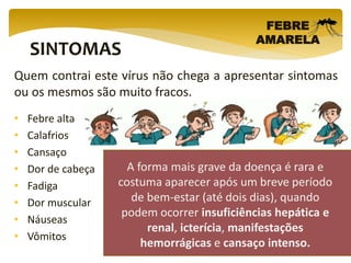 SINTOMAS
FEBRE
AMARELA
Quem contrai este vírus não chega a apresentar sintomas
ou os mesmos são muito fracos.
• Febre alta
• Calafrios
• Cansaço
• Dor de cabeça
• Fadiga
• Dor muscular
• Náuseas
• Vômitos
A forma mais grave da doença é rara e
costuma aparecer após um breve período
de bem-estar (até dois dias), quando
podem ocorrer insuficiências hepática e
renal, icterícia, manifestações
hemorrágicas e cansaço intenso.
 