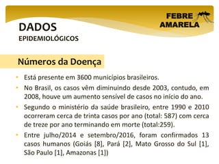 DADOS
EPIDEMIOLÓGICOS
FEBRE
AMARELA
• Está presente em 3600 municípios brasileiros.
• No Brasil, os casos vêm diminuindo desde 2003, contudo, em
2008, houve um aumento sensível de casos no início do ano.
• Segundo o ministério da saúde brasileiro, entre 1990 e 2010
ocorreram cerca de trinta casos por ano (total: 587) com cerca
de treze por ano terminando em morte (total:259).
• Entre julho/2014 e setembro/2016, foram confirmados 13
casos humanos (Goiás [8], Pará [2], Mato Grosso do Sul [1],
São Paulo [1], Amazonas [1])
Números da Doença
 