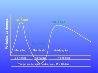 3 a 4 dias 48 horas 7 a 10 dias
Tempo de duração da doença – 15 a 20 dias
Infecção Remissão Intoxicação
Períodosdadoença
1a. Fase
2a. Fase
3a. Fase
 