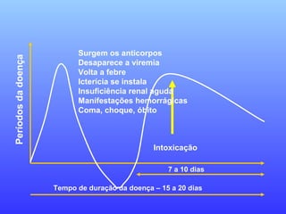 7 a 10 dias
Tempo de duração da doença – 15 a 20 dias
Intoxicação
Períodosdadoença
Surgem os anticorpos
Desaparece a viremia
Volta a febre
Icterícia se instala
Insuficiência renal aguda
Manifestações hemorrágicas
Coma, choque, óbito
 