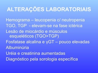 ALTERAÇÕES LABORATORIAIS
Hemograma – leucopenia c/ neutropenia
TGO, TGP - elevam-se na fase ictérica
Lesão de miocárdio e músculos
esqueléticos (TGO>TGP)
Fosfatase alcalina e γGT – pouco elevadas
Albuminúria
Uréia e creatinina aumentadas
Diagnóstico pela sorologia específica
 
