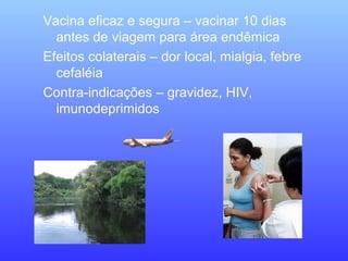 Vacina eficaz e segura – vacinar 10 dias
antes de viagem para área endêmica
Efeitos colaterais – dor local, mialgia, febre
cefaléia
Contra-indicações – gravidez, HIV,
imunodeprimidos
 