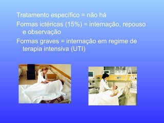 Tratamento específico = não há
Formas ictéricas (15%) = internação, repouso
e observação
Formas graves = internação em regime de
terapia intensiva (UTI)
 