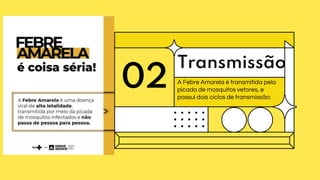 02
Transmissão
A Febre Amarela é transmitida pela
picada de mosquitos vetores, e
possui dois ciclos de transmissão:
 