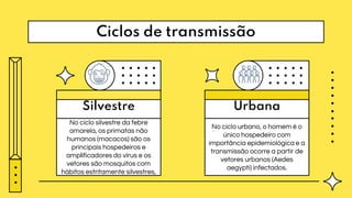 Ciclos de transmissão
Silvestre Urbana
No ciclo silvestre da febre
amarela, os primatas não
humanos (macacos) são os
principais hospedeiros e
amplificadores do vírus e os
vetores são mosquitos com
hábitos estritamente silvestres,
No ciclo urbano, o homem é o
único hospedeiro com
importância epidemiológica e a
transmissão ocorre a partir de
vetores urbanos (Aedes
aegypti) infectados.
 
