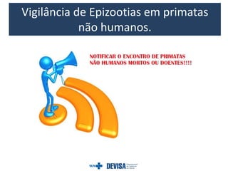 Vigilância de Epizootias em primatas
não humanos.
 
