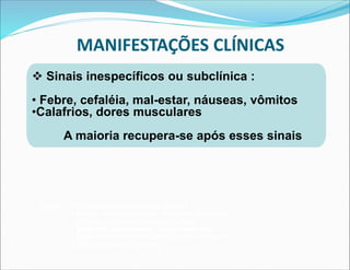  Sinais inespecíficos ou subclínica :
• Febre, cefaléia, mal-estar, náuseas, vômitos
•Calafrios, dores musculares
A maioria recupera-se após esses sinais
MANIFESTAÇÕES CLÍNICAS
Aprox. 15% desenvolvem sinais graves
- Febre, dor abdominal, vômitos, diarréia
- Vômito e diarréia hemorrágicos
- Icterícia, equimoses, sangramentos
- Disfunção renal, hepática, coma e morte
(50% dos casos graves)
 