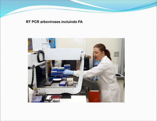 RT PCR arboviroses incluindo FA
 