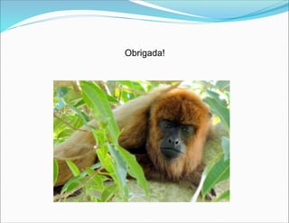 Obrigada!
 