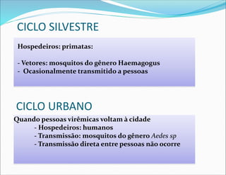 CICLO SILVESTRE
Hospedeiros: primatas:
- Vetores: mosquitos do gênero Haemagogus
- Ocasionalmente transmitido a pessoas
CICLO URBANO
Quando pessoas virêmicas voltam à cidade
- Hospedeiros: humanos
- Transmissão: mosquitos do gênero Aedes sp
- Transmissão direta entre pessoas não ocorre
 