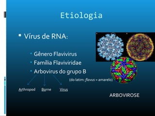 Etiologia
 Vírus de RNA:
• Gênero Flavivirus
• Família Flaviviridae
• Arbovirus do grupo B
Arthropod Borne Virus
ARBOVIROSE
(do latim: flavus = amarelo)
 