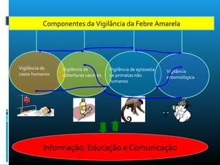 Componentes da Vigilância da Febre Amarela
Vigilância de
casos humanos
Vigilância de epizootia
de primatas não
humanos
Vigilância
entomológica
Vigilância de
coberturas vacinais
Informação, Educação e Comunicação
 