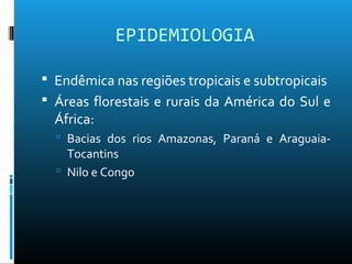EPIDEMIOLOGIA
 Endêmica nas regiões tropicais e subtropicais
 Áreas florestais e rurais da América do Sul e
África:
 Bacias dos rios Amazonas, Paraná e Araguaia-
Tocantins
 Nilo e Congo
 
