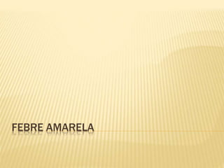 FEBRE AMARELA 
 