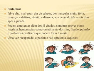  Sintomas: 
 febre alta, mal-estar, dor de cabeça, dor muscular muito forte, 
cansaço, calafrios, vômito e diarréia, aparecem de três a seis dias 
após a picada; 
 Podem apresentar além dos já citados, sintomas graves como 
icterícia, hemorragias comprometimento dos rins, fígado, pulmão 
e problemas cardíacos que podem levar à morte; 
 Uma vez recuperado, o paciente não apresenta sequelas; 
 