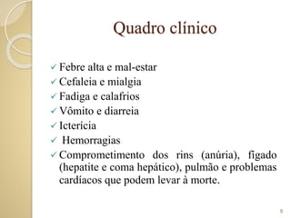 Quadro clínico
 Febre alta e mal-estar
 Cefaleia e mialgia
 Fadiga e calafrios
 Vômito e diarreia
 Icterícia
 Hemorragias
 Comprometimento dos rins (anúria), fígado
(hepatite e coma hepático), pulmão e problemas
cardíacos que podem levar à morte.
5
 