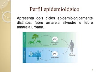 Perfil epidemiológico
Apresenta dois ciclos epidemiologicamente
distintos: febre amarela silvestre e febre
amarela urbana.
6
 