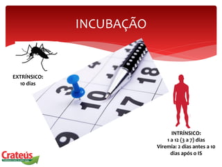INCUBAÇÃO
EXTRÍNSICO:
10 dias
INTRÍNSICO:
1 a 12 (3 a 7) dias
Viremia: 2 dias antes a 10
dias após o IS
 