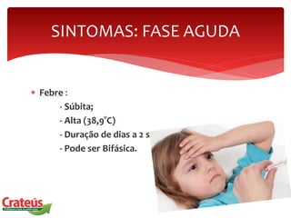  Febre :
- Súbita;
- Alta (38,9°C)
- Duração de dias a 2 semanas;
- Pode ser Bifásica.
SINTOMAS: FASE AGUDA
 