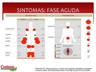 SINTOMAS: FASE AGUDA
 