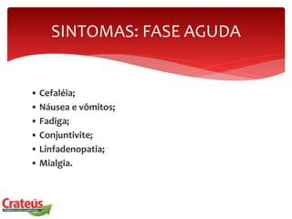 • Cefaléia;
• Náusea e vômitos;
• Fadiga;
• Conjuntivite;
• Linfadenopatia;
• Mialgia.
SINTOMAS: FASE AGUDA
 