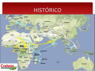 HISTÓRICO
 