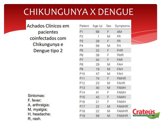 dipirona x paracetamol chikungunya Febre