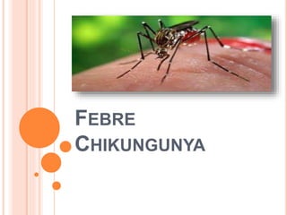 FEBRE
CHIKUNGUNYA