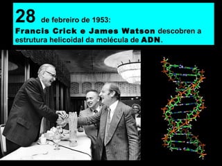 28 de febreiro de 1953:
Francis Crick e James Watson descobren a
estrutura helicoidal da molécula de ADN.
 