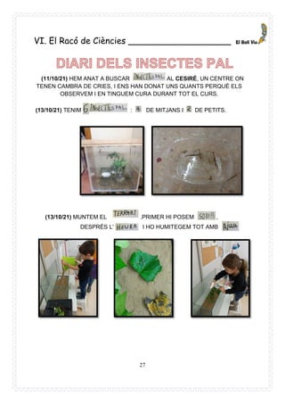 27
VI. El Racó de Ciències ___________________
(11/10/21) HEM ANAT A BUSCAR AL CESIRÉ, UN CENTRE ON
TENEN CAMBRA DE CRIES, I ENS HAN DONAT UNS QUANTS PERQUÈ ELS
OBSERVEM I EN TINGUEM CURA DURANT TOT EL CURS.
(13/10/21) TENIM : DE MITJANS I DE PETITS.
(13/10/21) MUNTEM EL .PRIMER HI POSEM ,
DESPRÉS L’ I HO HUMITEGEM TOT AMB
 