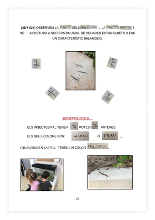 28
(26/11/21) OBSERVEM LA DELS . LA ÉS I
NO ACOSTUMA A SER CONTINUADA. DE VEGADES ESTAN QUIETS O FAN
UN CARACTERÍSTIC BALANCEIG.
ELS INSECTES PAL TENEN POTES I ANTENES.
ELS SEUS COLORS SÓN: O ,
I QUAN MUDEN LA PELL TENEN UN COLOR .
 