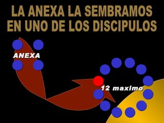LA ANEXA LA SEMBRAMOS EN UNO DE LOS DISCIPULOS ANEXA 12 maximo 