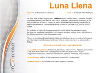 La Luna Llena representa: Iluminación, desenlace, introspección, inquietud, culminación
y resultado, fruto, etapa final, efervescencia, recolección, productividad, magia,
imaginación desbordada, creativa, transformación, plenitud, intensidad, emocionalidad.
Se recomienda: Fiestas de Reconocimiento, meditación, contemplación.
No se recomienda: Iniciar relaciones, cerrar negocios, sembrar.
Inicio: 03 de Febrero a las 06:10 pm Final: 11 de Febrero a las 10:51 pm
Se hace notar el claro influjo que la Luna Llena ejerce sobre la Tierra y los seres humanos,
animales y plantas que la habitan. Esta fuerza, producida por el cambio de sentido de los
impulsos lunares al pasar la luna por la fase que media entre creciente y menguante, se
siente de manera más intensa que el cambio de fuerzas que tiene lugar durante la luna
nueva.
En el plenilunio los sonámbulos se pasean dormidos, las heridas sangran con más
persistencia; las plantas medicinales recogidas durante este período tienen más eficacia, y
los árboles podados en esta fase pueden morir.
Tomen en cuenta que la policía debe reforzar sus efectivos, ya que normalmente los actos
de violencia y los accidentes aumentan; así mismo, a las comadronas se les acumula el
trabajo.
¡Momento para recoger frutos no para plantarlos!
Luna Llena
 