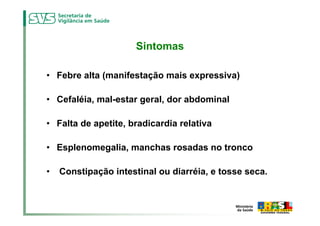 Sintomas

• Febre alta (manifestação mais expressiva)

• Cefaléia, mal-estar geral, dor abdominal

• Falta de apetite, bradicardia relativa

• Esplenomegalia, manchas rosadas no tronco

•   Constipação intestinal ou diarréia, e tosse seca.
 