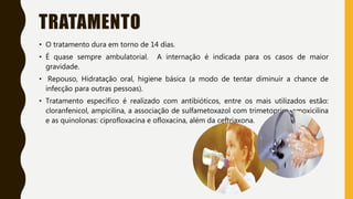 TRATAMENTO
• O tratamento dura em torno de 14 dias.
• É quase sempre ambulatorial. A internação é indicada para os casos de maior
gravidade.
• Repouso, Hidratação oral, higiene básica (a modo de tentar diminuir a chance de
infecção para outras pessoas).
• Tratamento específico é realizado com antibióticos, entre os mais utilizados estão:
cloranfenicol, ampicilina, a associação de sulfametoxazol com trimetoprim, amoxicilina
e as quinolonas: ciprofloxacina e ofloxacina, além da ceftriaxona.
 