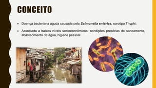 CONCEITO
 Doença bacteriana aguda causada pela Salmonella entérica, sorotipo Thyphi;
 Associada a baixos níveis socioeconômicos: condições precárias de saneamento,
abastecimento de água, higiene pessoal
 